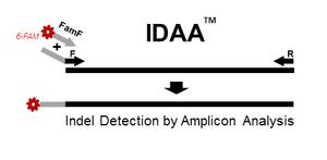 Indel Detection by Amplicon Analysis (IDAA) InDel Detection by Amplicon Analysis (IDAA)