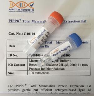 Protein Extraction