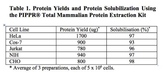 Protein Extraction